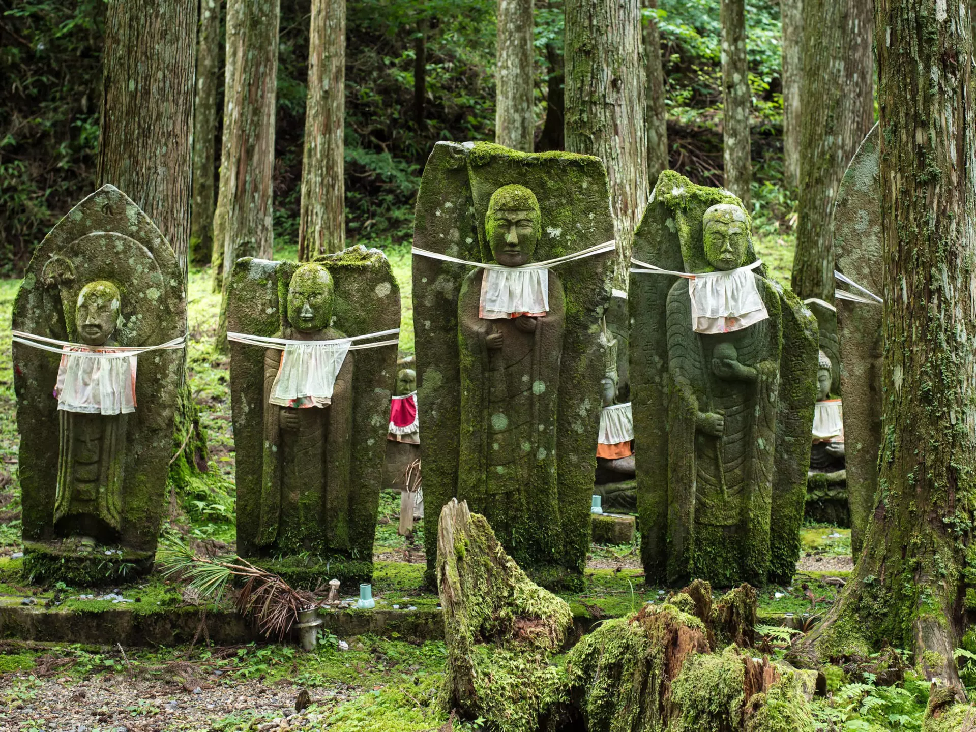 Jizo statues at Okunoin Cemetery.
302314835
cemetery, tombstone, funeral, culture, history, mount, old, tourist, zen, die, tradition, religion, graveyard, shinto, prayer, japanese, japan, memorial, kansai, wakayama, kinki, okunoin, koyasan