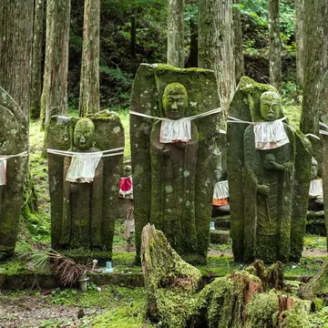 Jizo statues at Okunoin Cemetery.
302314835
cemetery, tombstone, funeral, culture, history, mount, old, tourist, zen, die, tradition, religion, graveyard, shinto, prayer, japanese, japan, memorial, kansai, wakayama, kinki, okunoin, koyasan