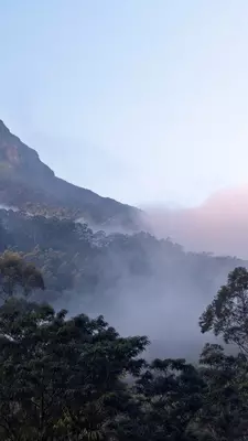 The view on top of the mountain Adam's Peak, early morning.
adams, adventure, beauty, blue, buddhist, building, climb, environment, fog, forest, green, hike, hiking, landscape, lanka, mist, monastery, morning, mountain, mt, natural, nature, outside, pada, peaceful, peak, pilgrimage, place, relax, rocks, sacred, sky, sri, stairs, step, top, trek, trekking, trip, vacation, view, wilderness
