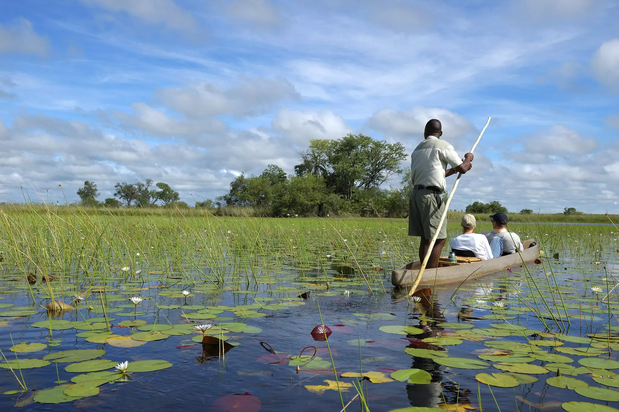 A canoe guide paddles two passengers through wetlands as part of a safari tour of a flooded river delta.