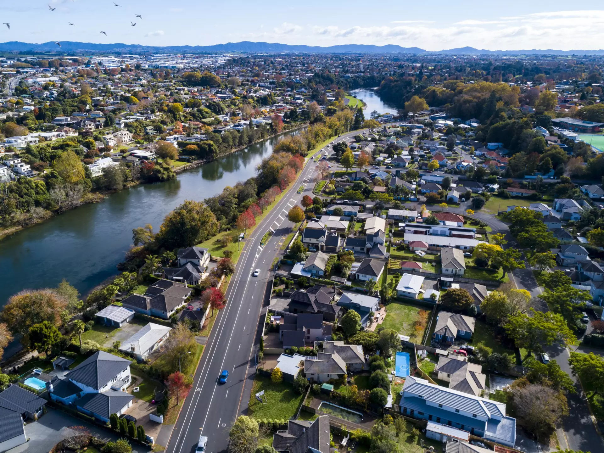 Aerial view from Waikato River, Hamilton, New Zealand
1149987475