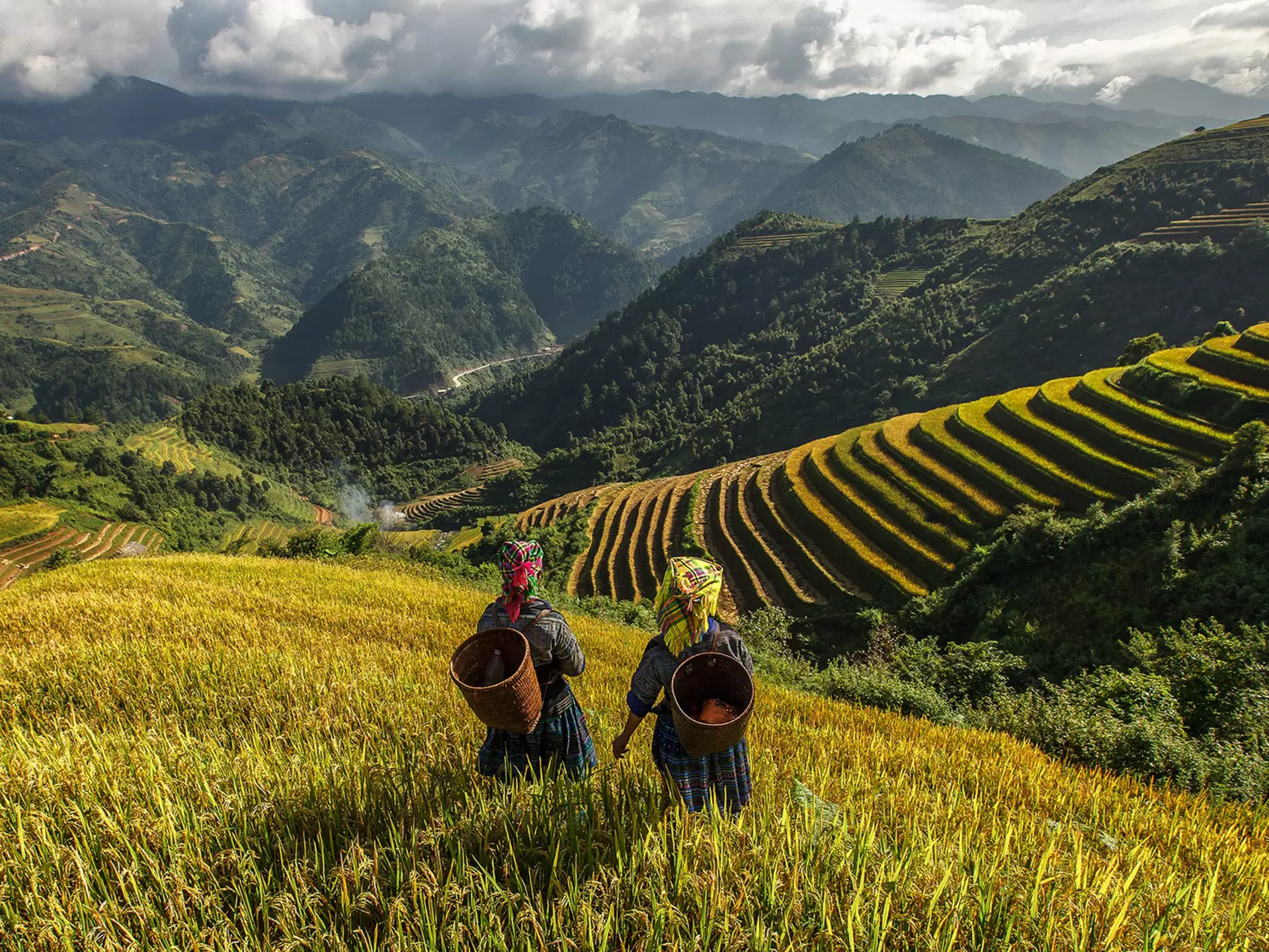 Two farmers wearing tribal dress and carrying baskets on their backs look out over the green rice fields in a mountainous area