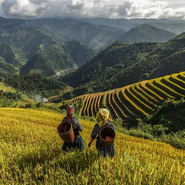 Two farmers wearing tribal dress and carrying baskets on their backs look out over the green rice fields in a mountainous area