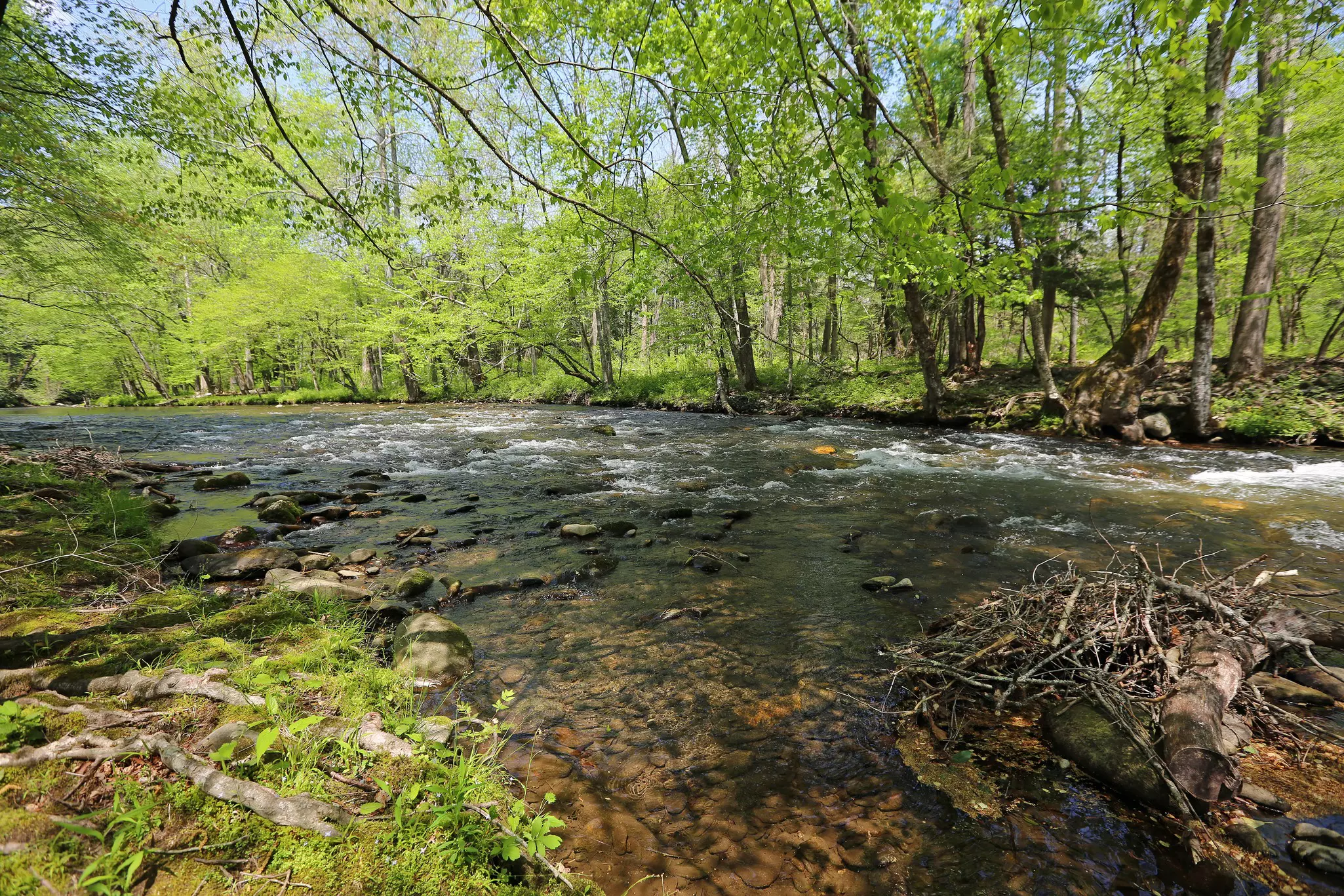 GettyImages-1403100145.jpg
Landscape with Oconaluftee River
