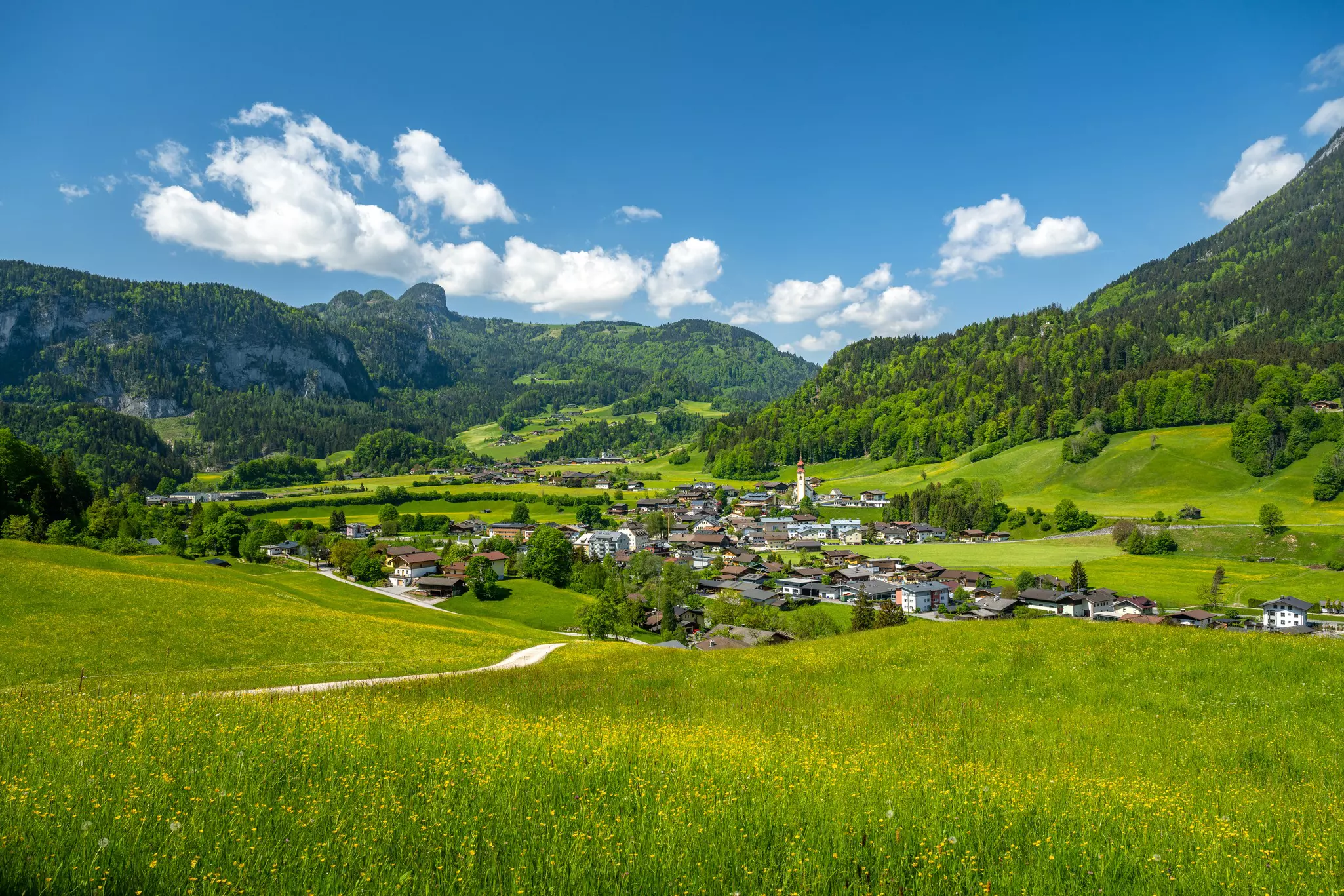 A path crosses a beautiful meadow filled with yellow flowers leading to a small town in a valley between mountains.