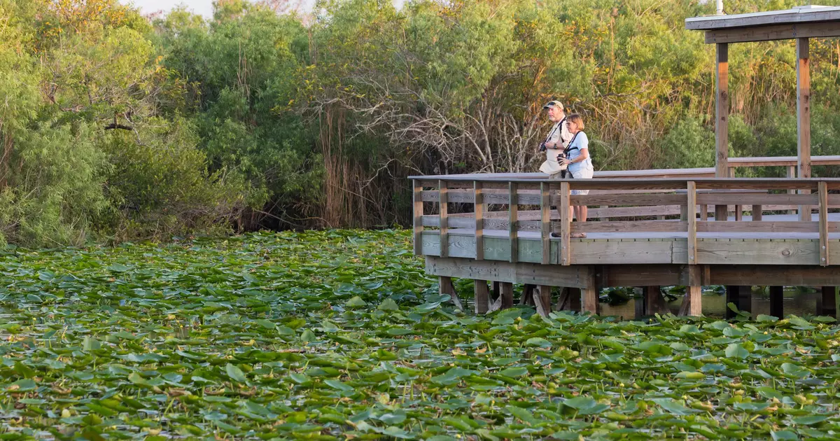 The 13 best things to do in Florida - Lonely Planet