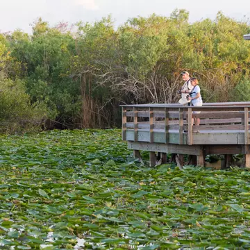 Everglades National Park. BlueBarronPhoto/Shutterstock