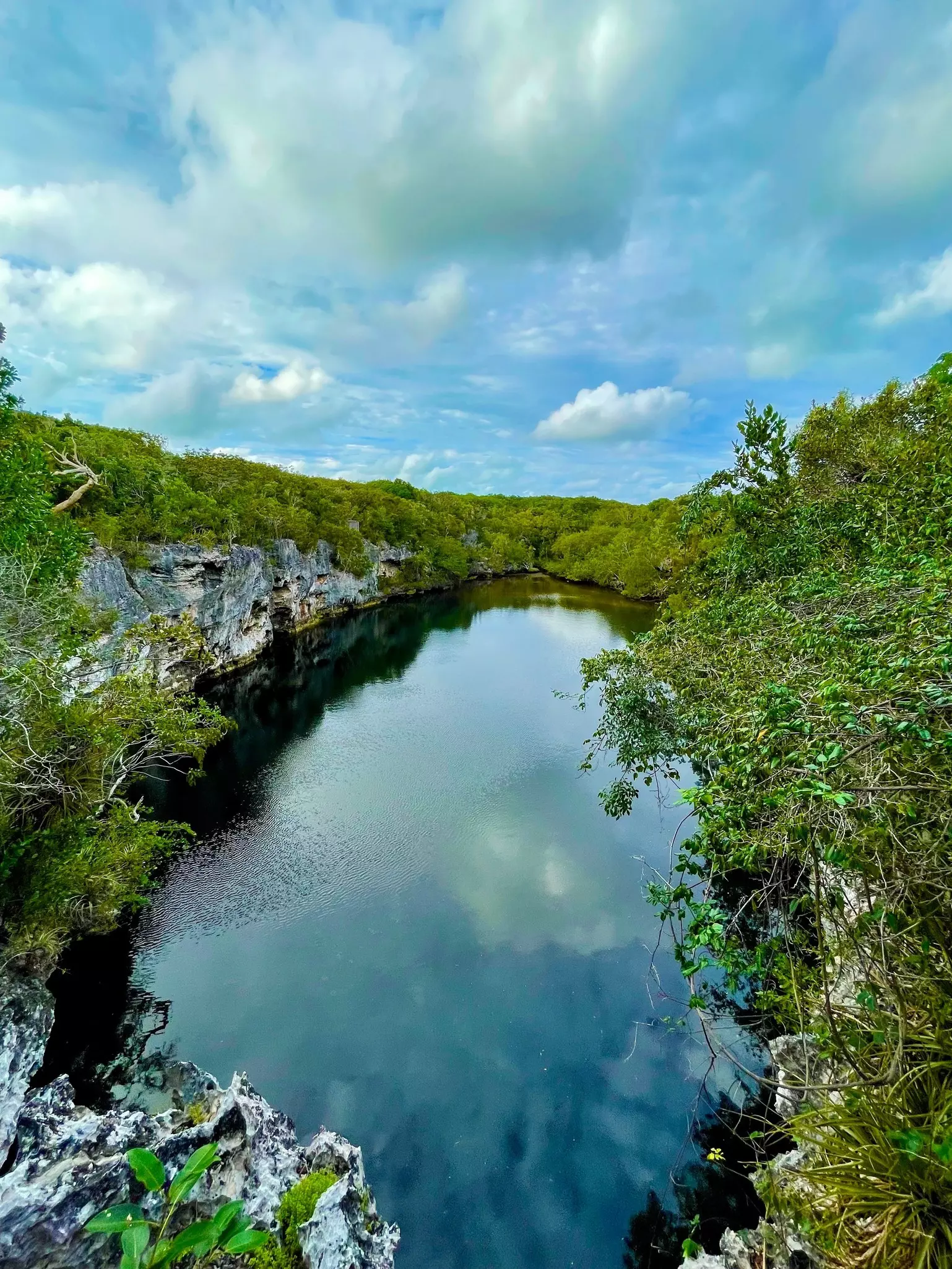 A large natural swimming hole surrounded by dense tropical vegetation.