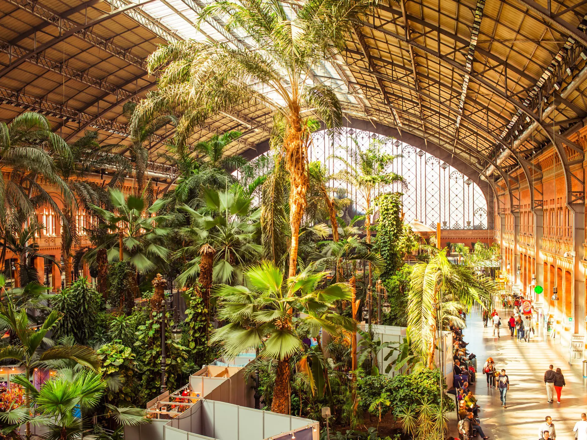 Inside the Atocha station in Madrid. Yulia Grigoryeva/Shutterstock