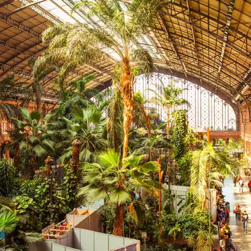 Inside the Atocha station in Madrid. Yulia Grigoryeva/Shutterstock