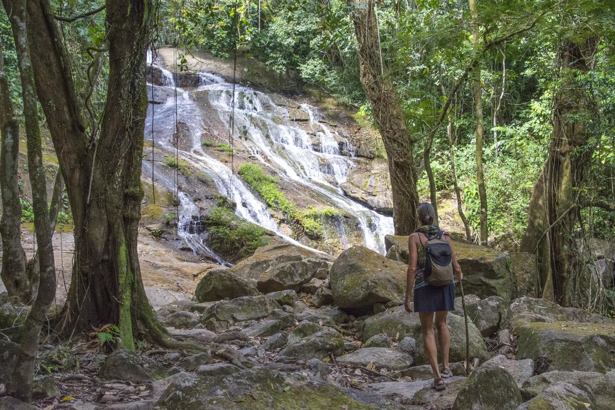 TV Ramos Highway leads to many different wildlife parks and sanctuaries © CampPhoto / Getty Images