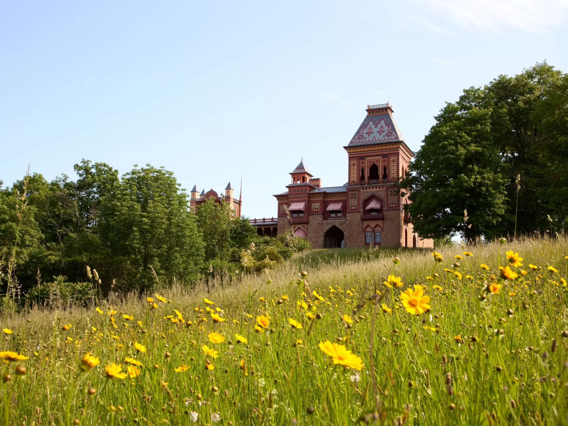 Olana, the estate of Hudson River School artist Frederic Edwin Church, in a meadow full of blooming yellow flowers