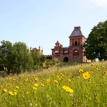 Olana, the estate of Hudson River School artist Frederic Edwin Church, in a meadow full of blooming yellow flowers