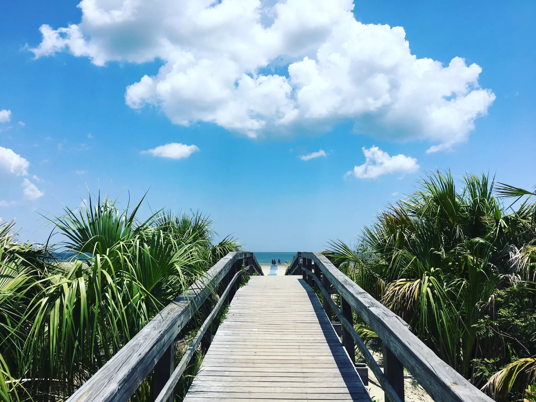 A wooden bridge leads onto the beach at Tybee Island.