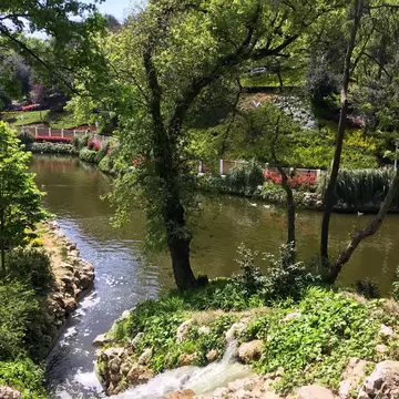 Lake and trees inside the Yıldız Park, Istanbul city.