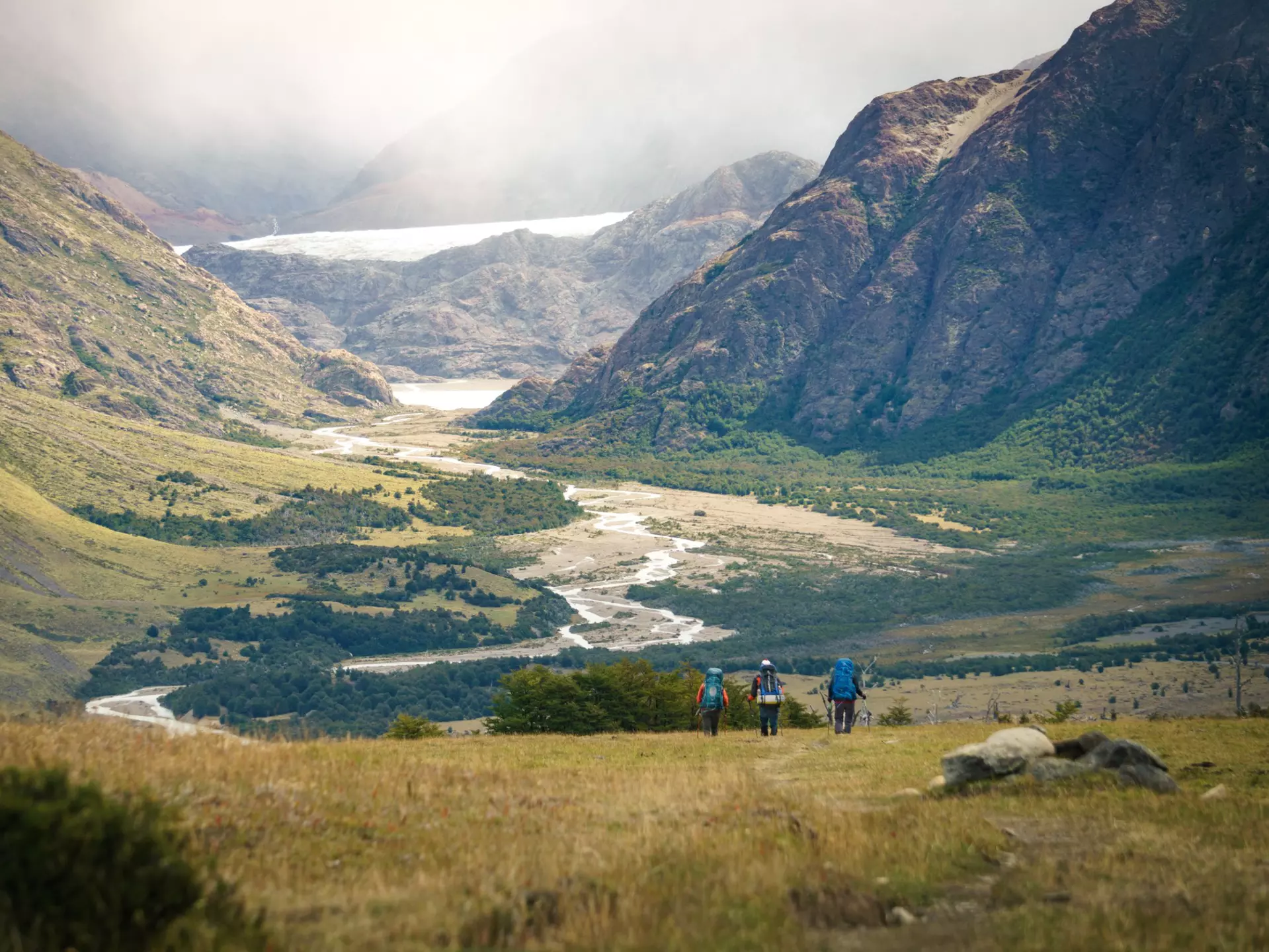 Hikers in a grassy valley approaching a snow-covered rocky peak.