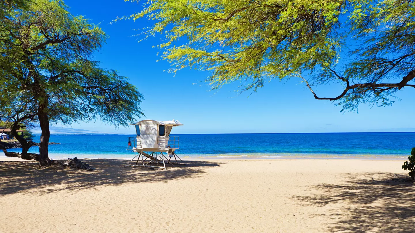 Samuel M Spencer Beach, the Island of Hawai‘i, Hawai‘i. YinYang/Getty Images