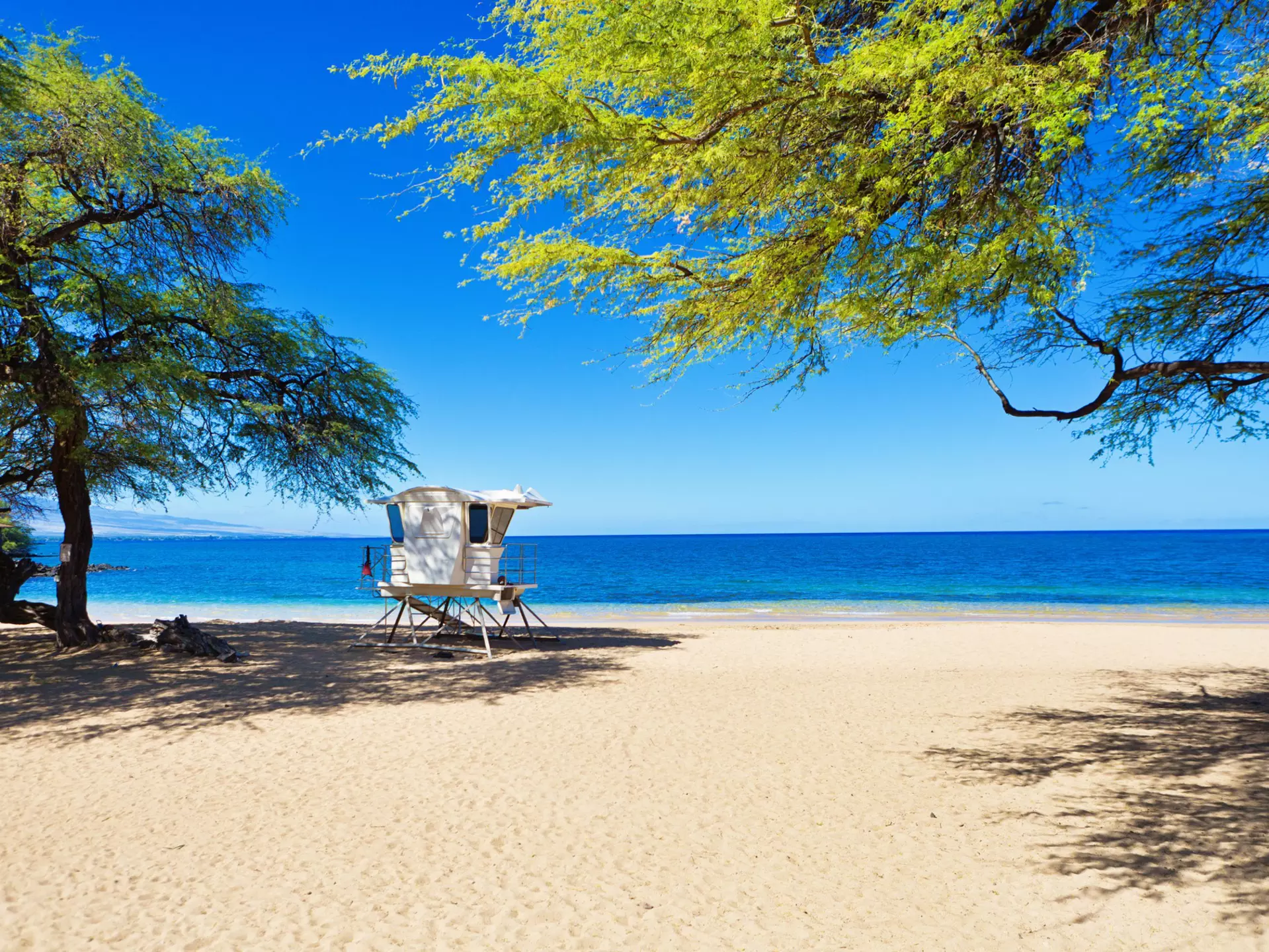 Samuel M Spencer Beach, the Island of Hawai‘i, Hawai‘i. YinYang/Getty Images