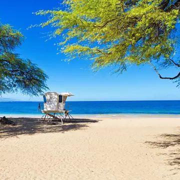Samuel M Spencer Beach, the Island of Hawai‘i, Hawai‘i. YinYang/Getty Images