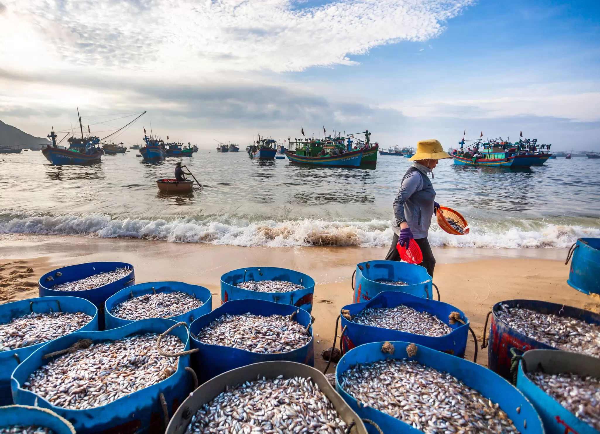 Fishing boats, Quy Nhon. Nguyen Duc Hieu/Shutterstock