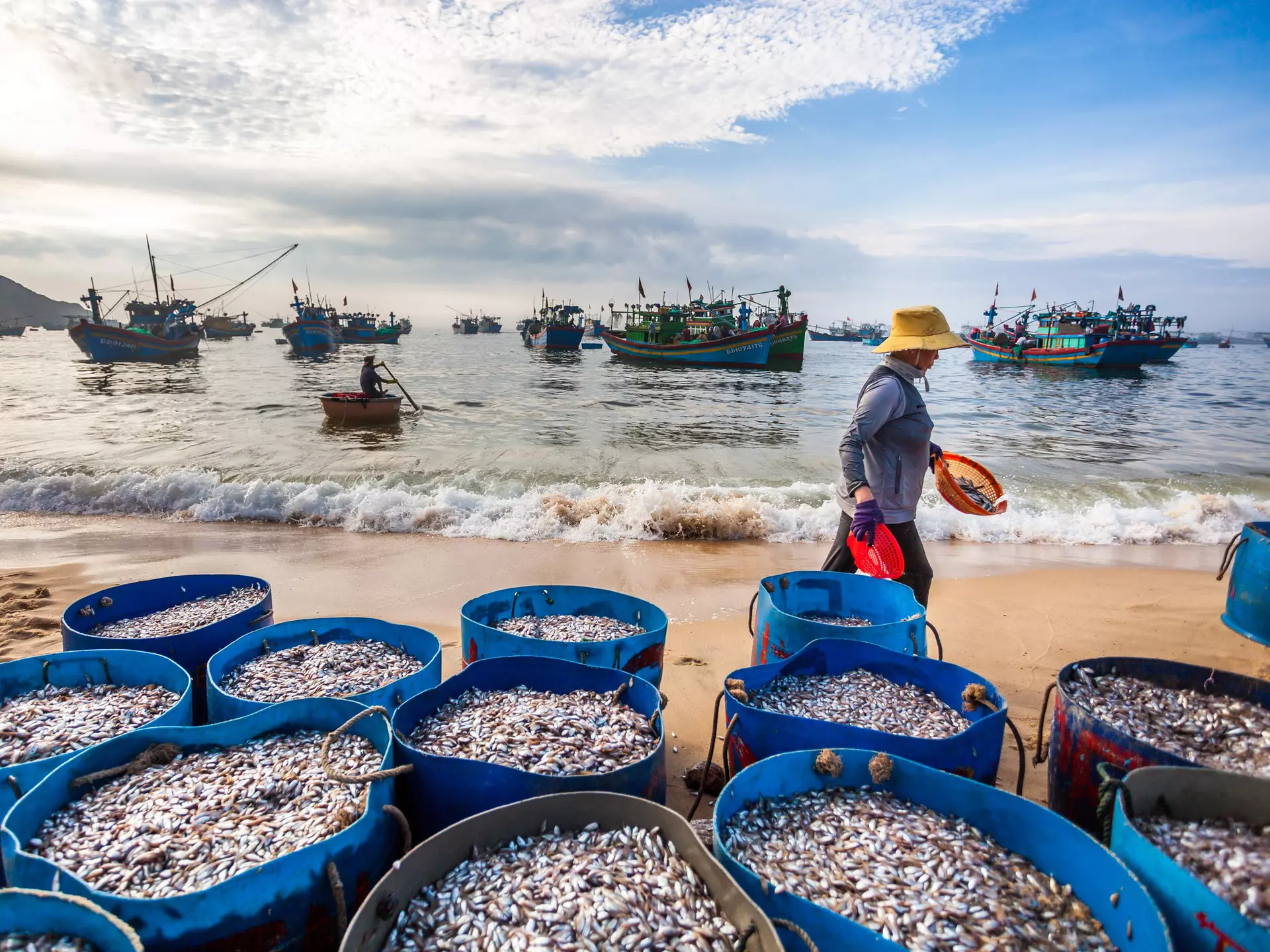Fishing boats, Quy Nhon. Nguyen Duc Hieu/Shutterstock
