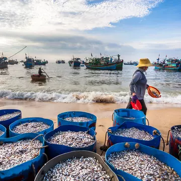 Fishing boats, Quy Nhon. Nguyen Duc Hieu/Shutterstock