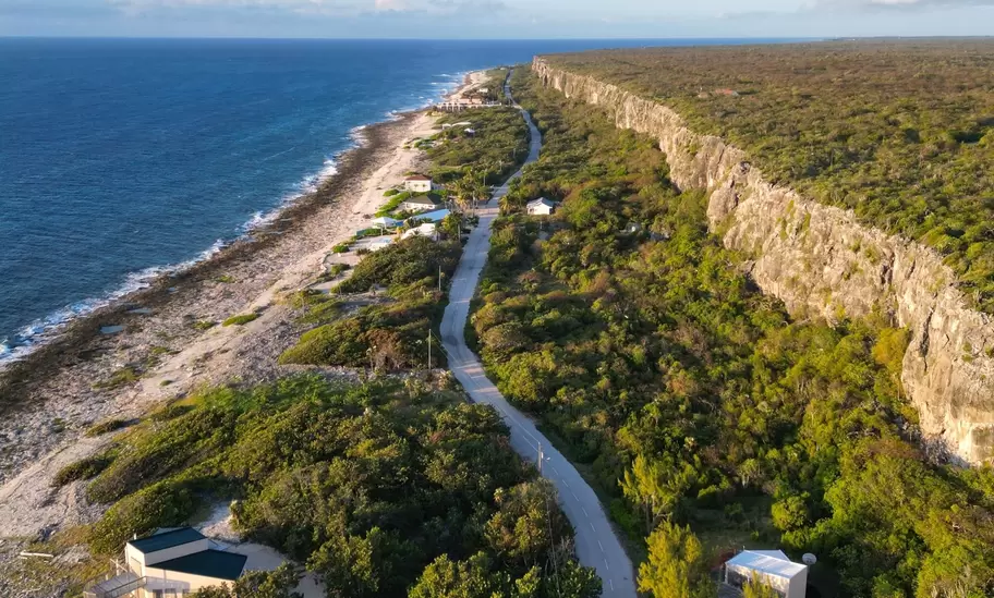 A coastal road through forest.