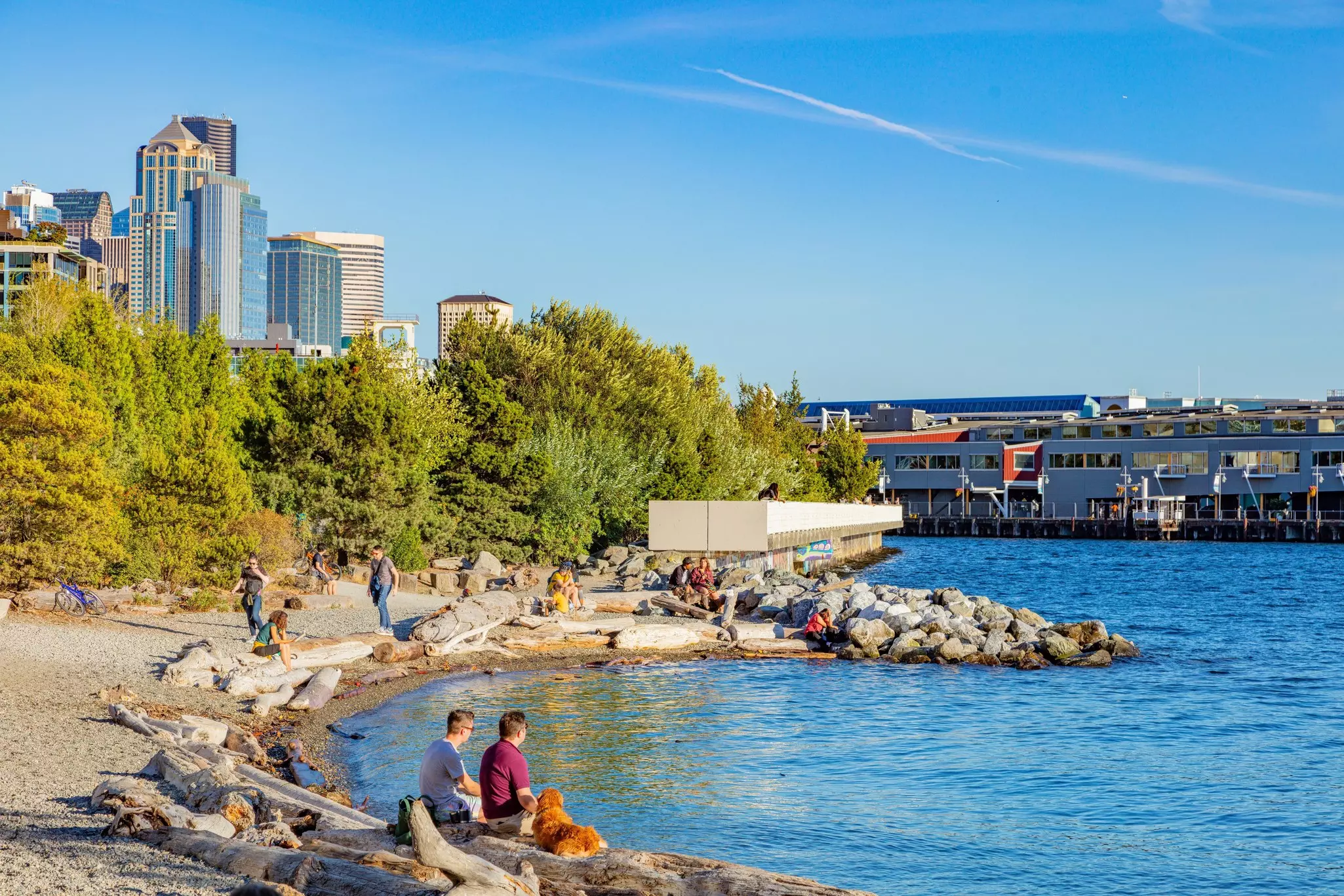 People sit on the sand of a small beach with a city skyline in the distance.