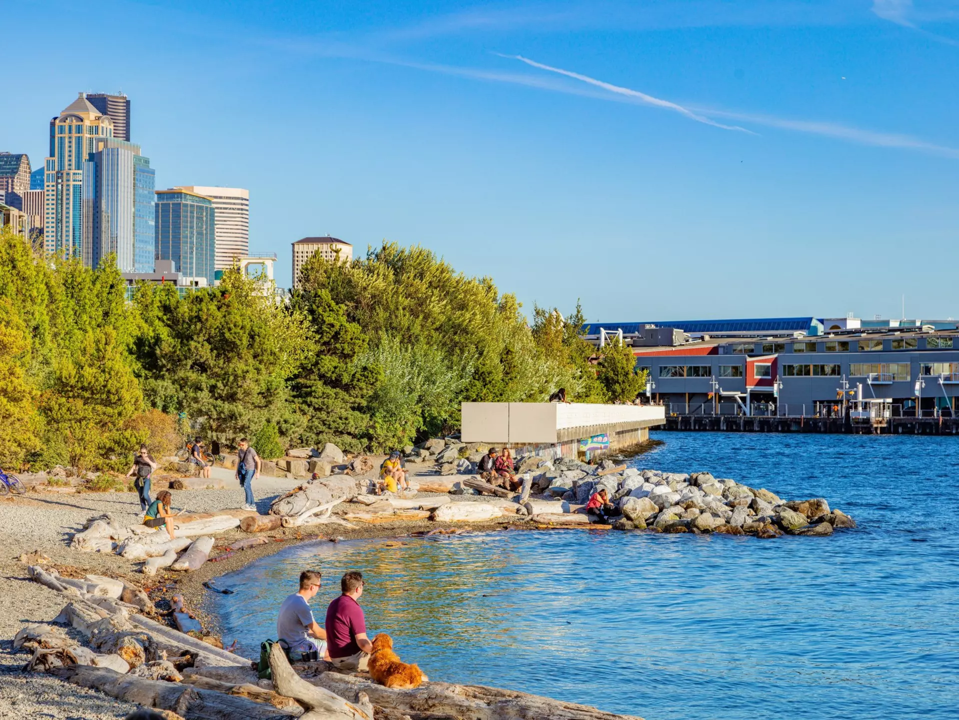 People sit on the sand of a small beach with a city skyline in the distance.