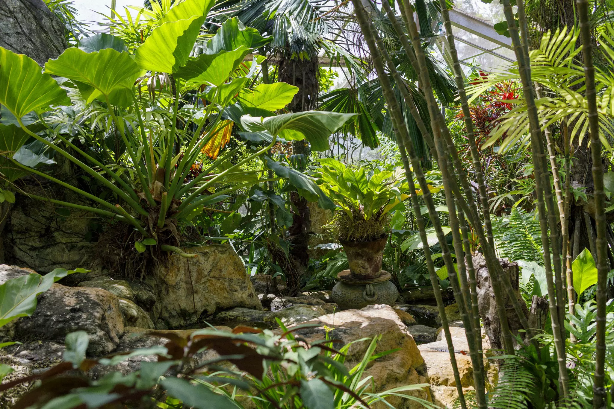 Botanical Gardens of Nevis