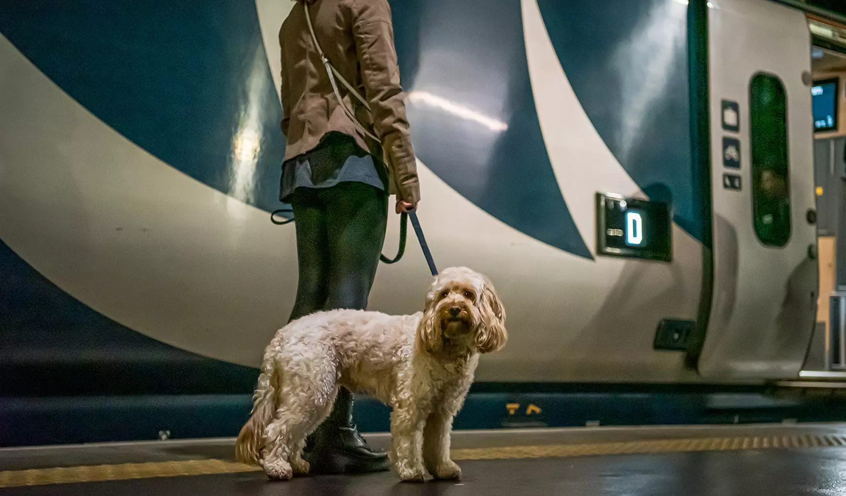 Passengers with varying requirements can be accommodated on the Caledonian Sleeper © Lucy Knott Photography/courtesy Caledonian Sleeper