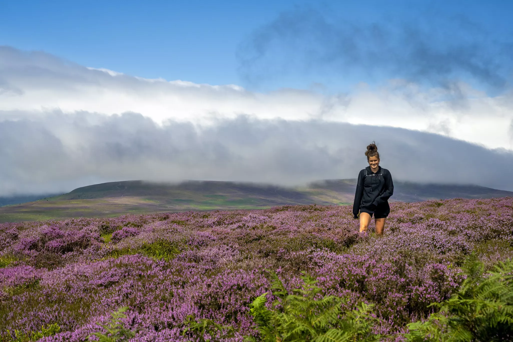 Heather covers Wales’ moors in August, a wonderful time for hiking through the countryside © Getty Images