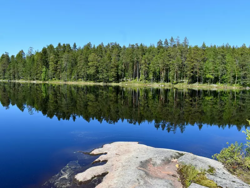 Pine trees on the shore of a lake in Finland are reflected in its mirrorlike surface.