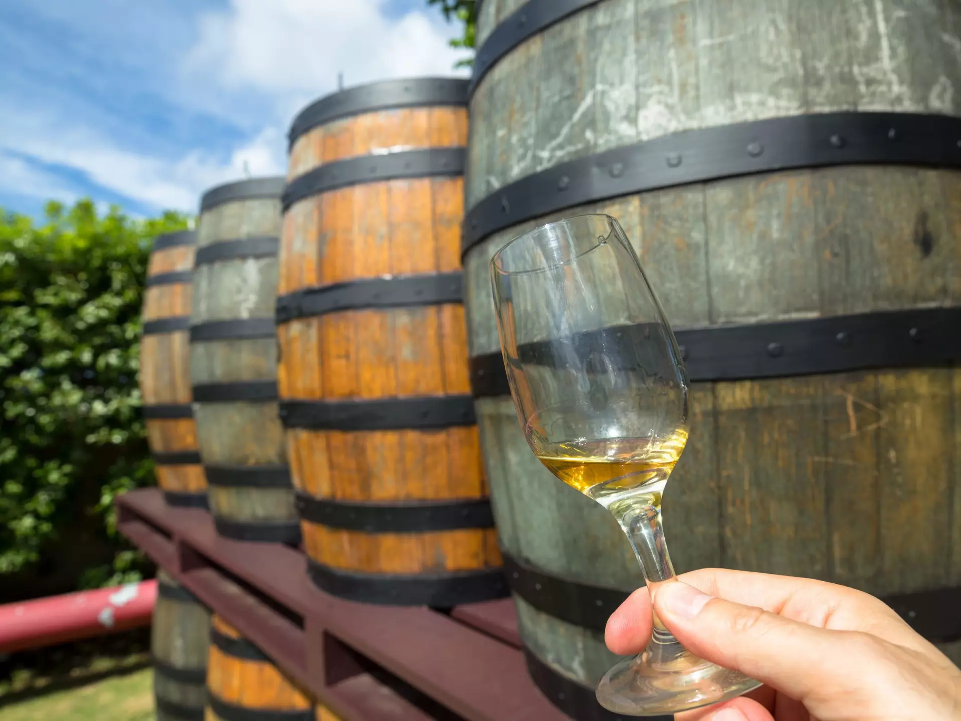 Person holding up rum in a glass during a rum tour in Barbados