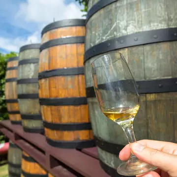 Person holding up rum in a glass during a rum tour in Barbados