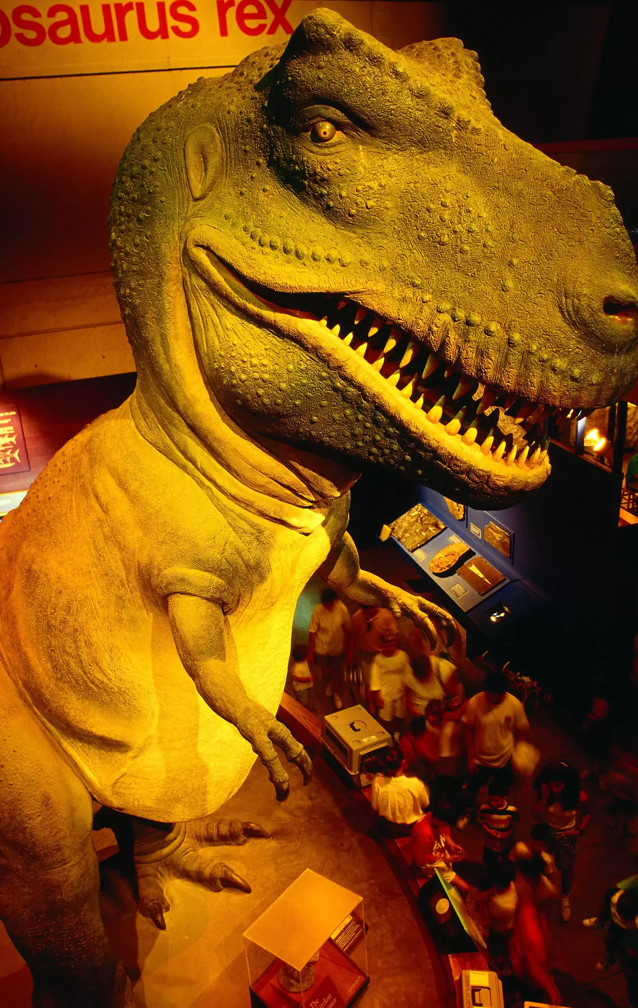 A huge dinosaur model towers over people in a gallery