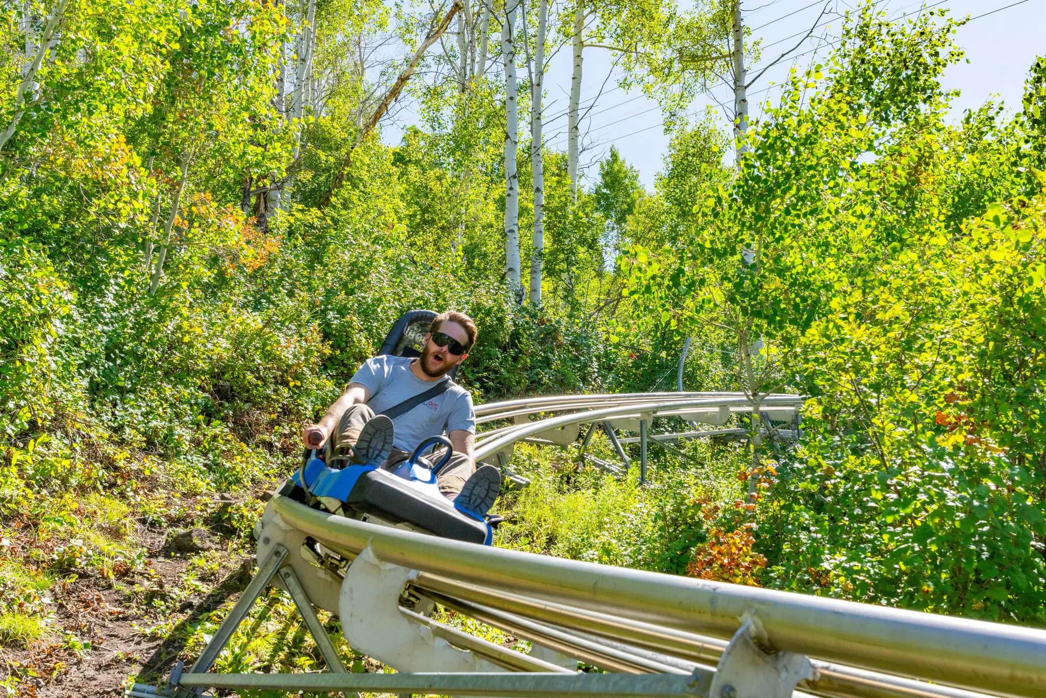 A man rides a toboggan-style coaster down rails on a mountain, surrounded by trees on a sunny day.
