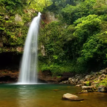 A wide waterfall cascading into a pool surrounded by rainforest.
