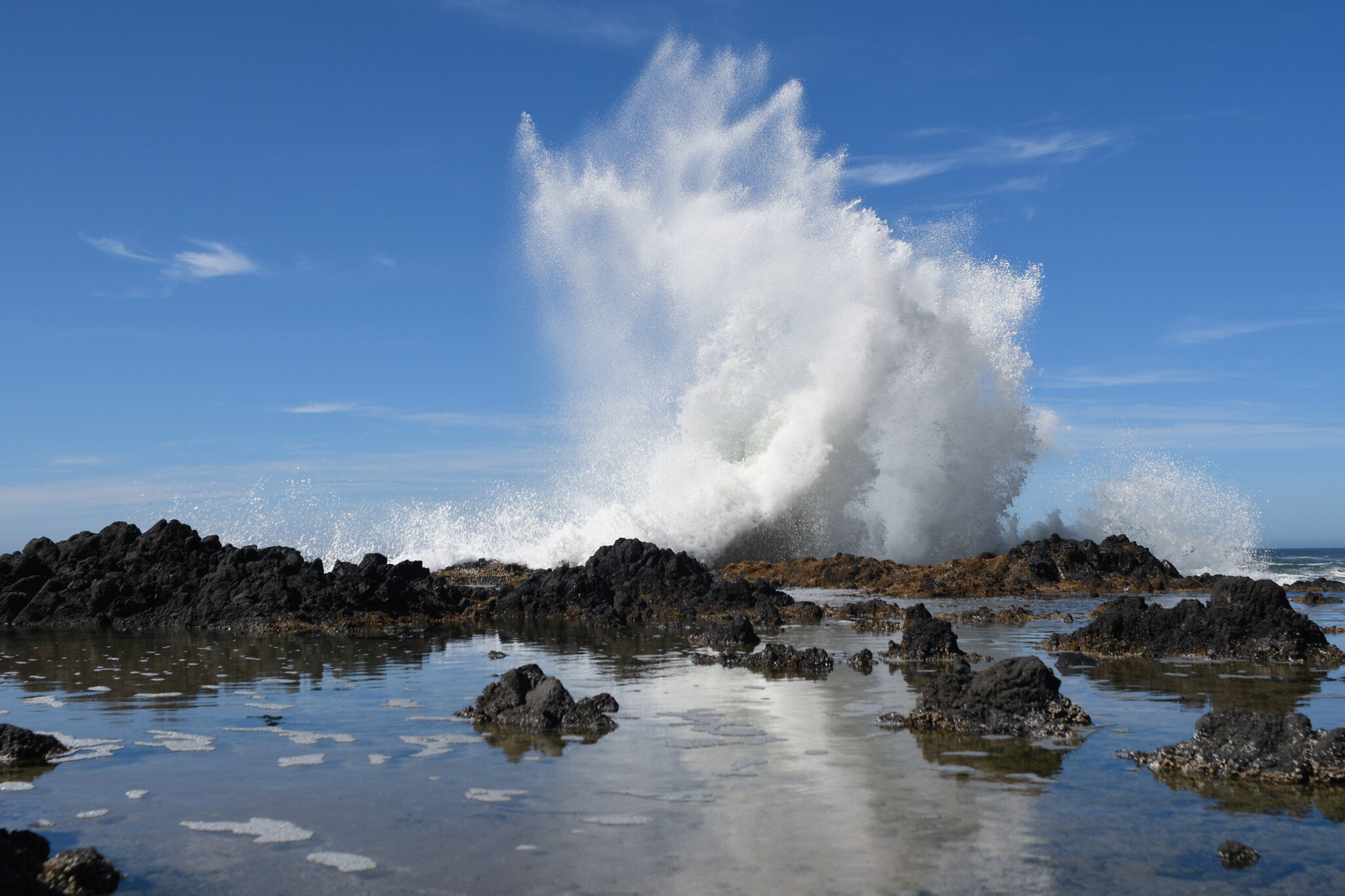 White water from a wave crashing against a rocky shoreline in the Cape Perpetua Scenic Area along the Oregon Coast.