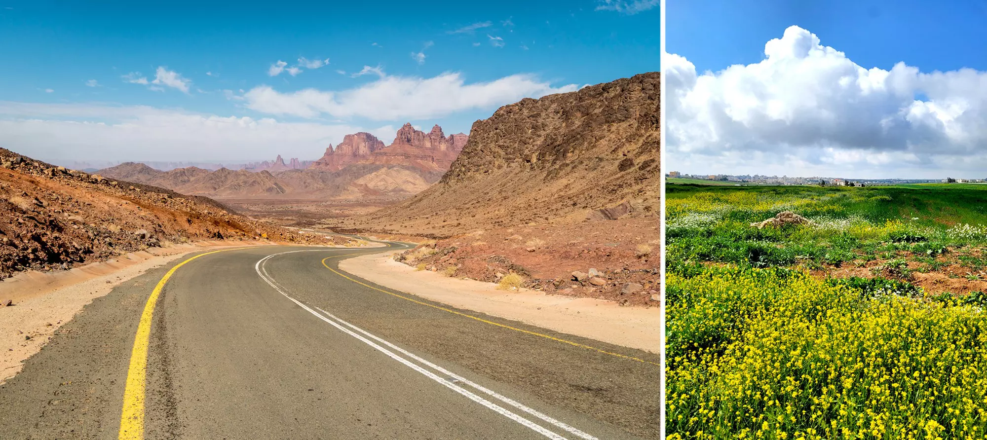 The road through Al Ula’s dramatic landscape in Saudi Arabia gave way to lush spring fields in Jordan © Getty Images; Jenny Walker