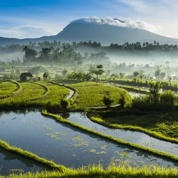 Get away from the crowds on Bali to enjoy the quieter, rural side of local life and the island's beautiful landscapes in places like Tirta Gangga. John Harper / Getty Images