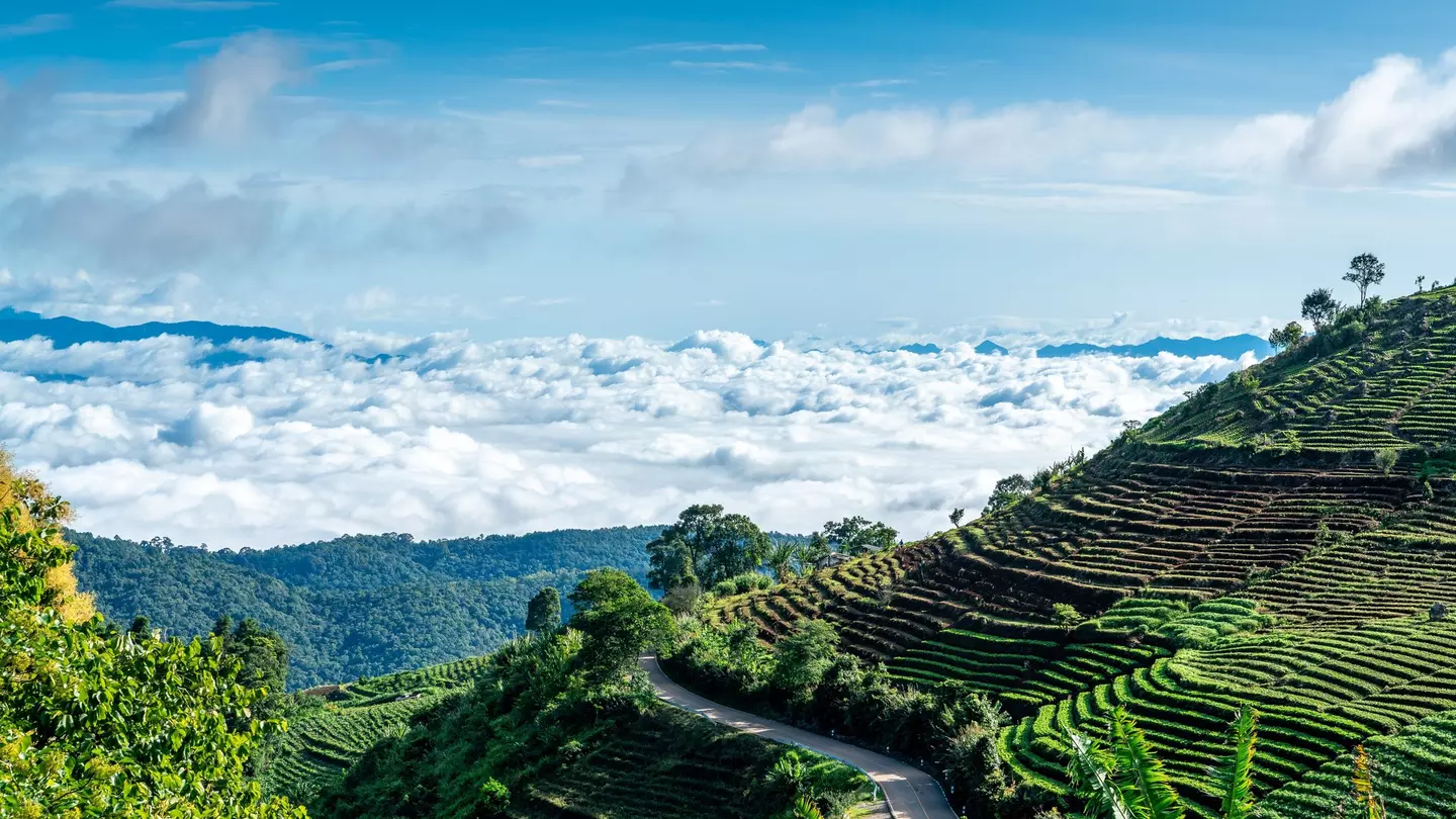 A view of the morning cloud inversion in the highland mountains with rice paddies rising up the slopes, Mon Jam, Mae Rim, Chiang Mai, Thailand
