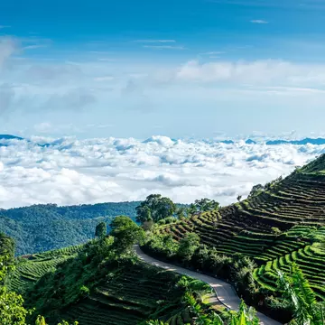 A view of the morning cloud inversion in the highland mountains with rice paddies rising up the slopes, Mon Jam, Mae Rim, Chiang Mai, Thailand