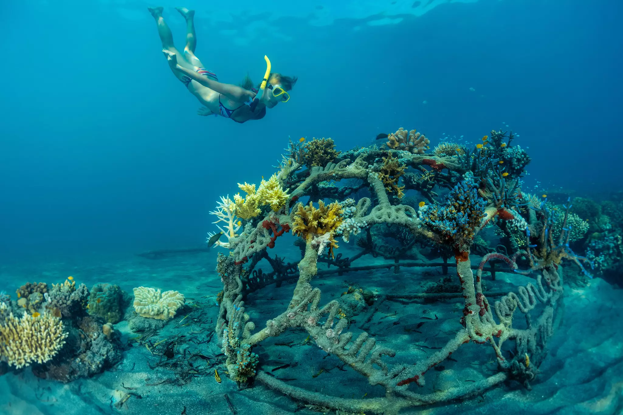 A woman snorkels over an artificial reef in Pemuteran, Bali.