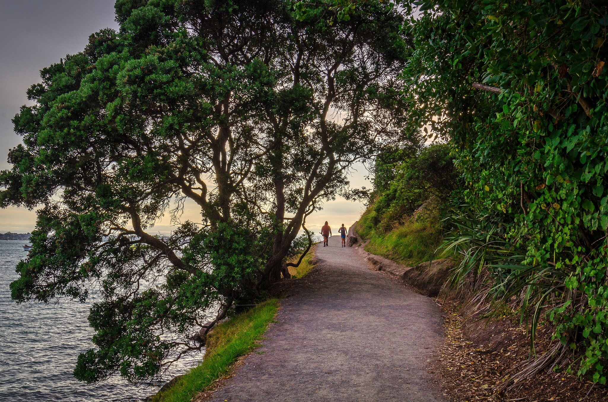 Base track around Mauao, Mt Maunganui, New Zealand; Shutterstock ID 1749292628;