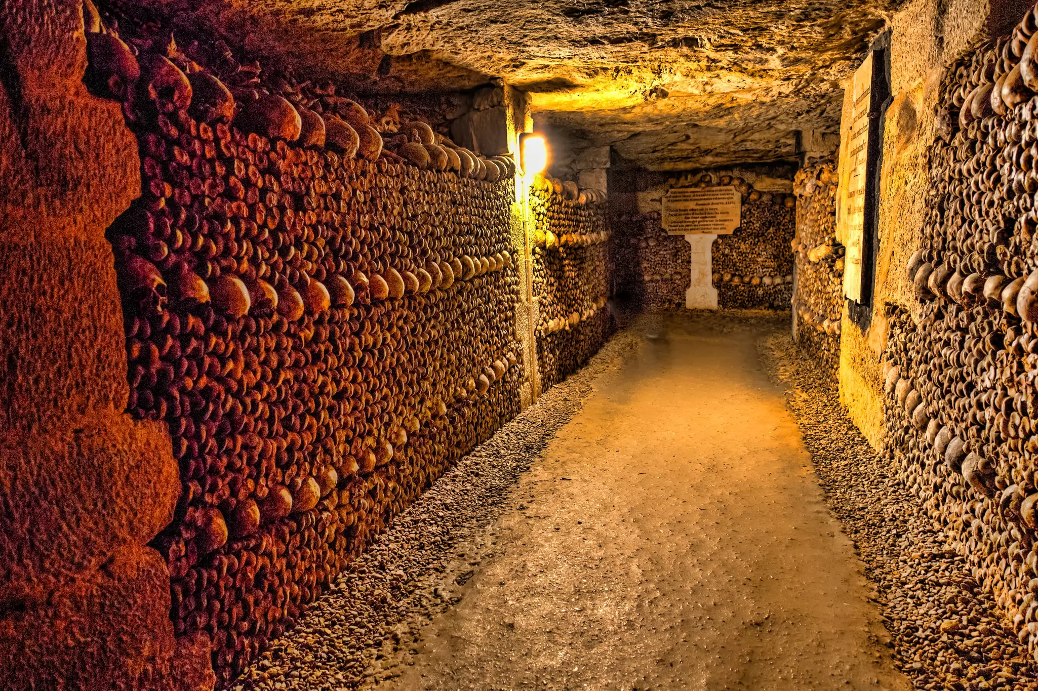 Skulls and bones like the walls of the Paris Catacombes.