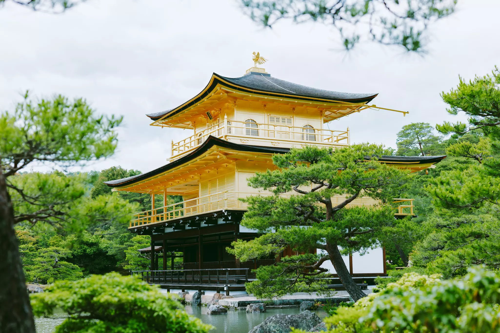KYOTO, JAPAN. MAY 2024

KINKAKUJI