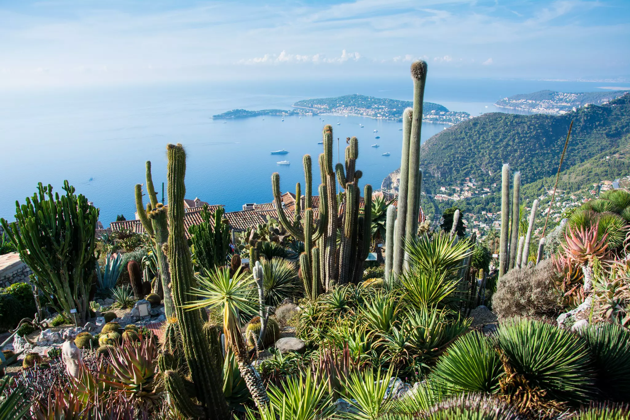 A tropical botanical garden at the top of a hill with views stretching down the cliffs and over land towards the sea and islands in the distance.