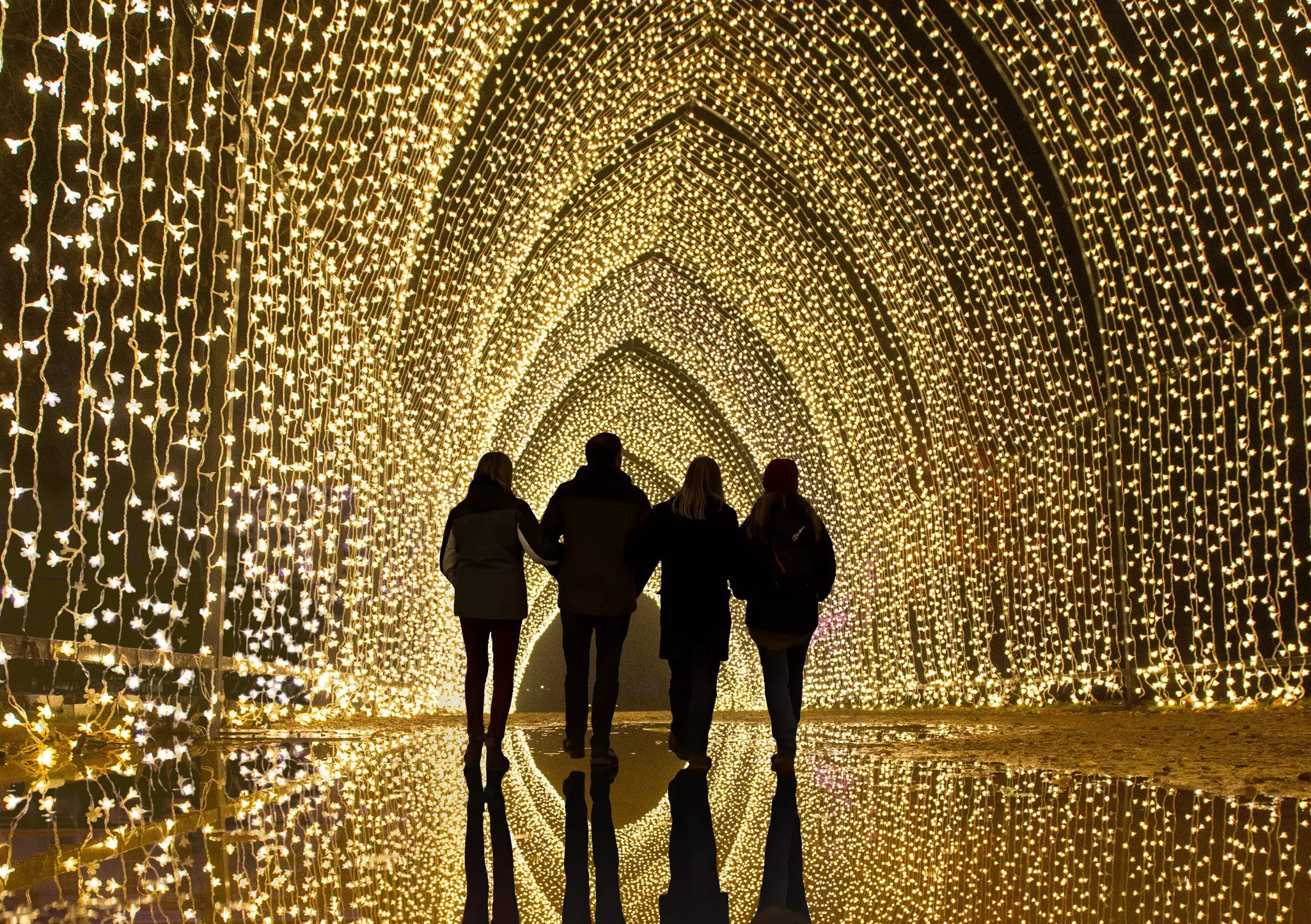 One of the immersive light installations at Lightscape this winter © Royal Botanic Gardens Victoria