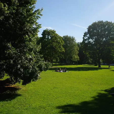 A group of people at the end of a long green lawn with trees on the perimeter.